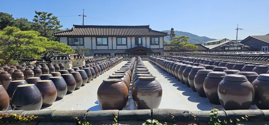 안성 서일농원 장독대와 한옥 건물, 줄지어 선 항아리